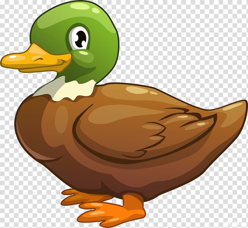 Duck Animated cartoon, birds transparent background PNG clipart