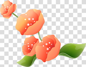 Cut flowers Google s, flower transparent background PNG clipart thumbnail