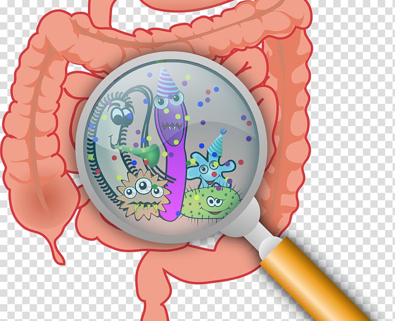 Gut flora Gastrointestinal tract Health Microbiota Leaky gut syndrome, detail map of bacteria and viruses transparent background PNG clipart
