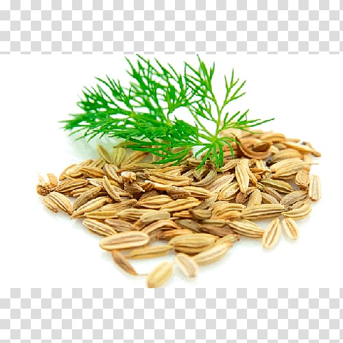 Dill Seed Fennel English lavender Herb, others transparent background PNG clipart