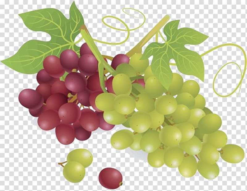 Wine Common Grape Vine Fruit, grape transparent background PNG clipart