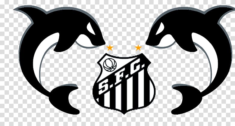 Santos FC CT Rei Pelé Esporte Clube Vitória Meninos da Vila Unidade Ponta da Praia II, Santos transparent background PNG clipart