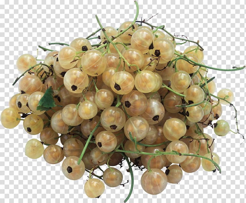Fruit White currant , 3d creative hand-painted hand-painted fruit material 3d transparent background PNG clipart