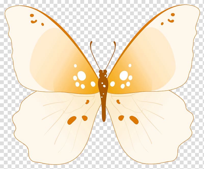 brown and gray butterfly illustration, Monarch butterfly , Butterfly Clipar transparent background PNG clipart