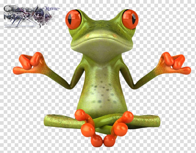 Tree frog Lithobates clamitans , frog transparent background PNG clipart