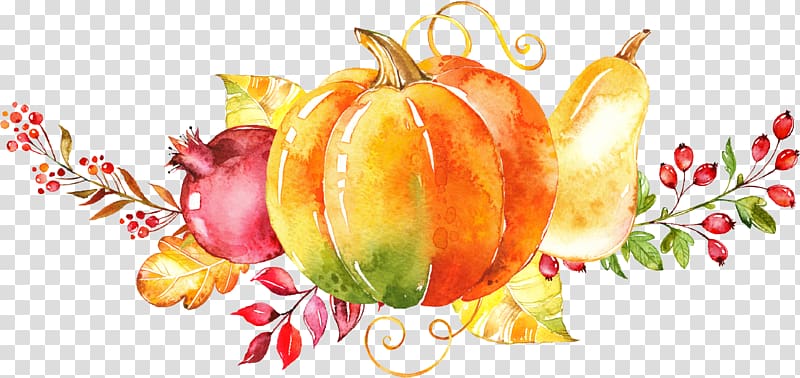 orange squash illustration, Watercolor painting Autumn , Hand-painted vegetable transparent background PNG clipart