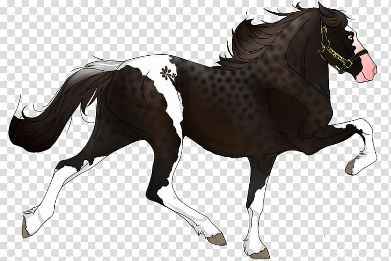 Mustang Pony Appaloosa Stallion Mare, Minimal Tobiano transparent background PNG clipart