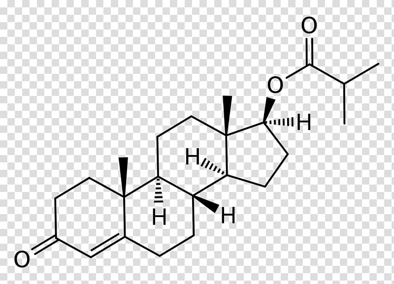 Dihydrotestosterone Anabolic steroid Wikipedia Androgen, others transparent background PNG clipart