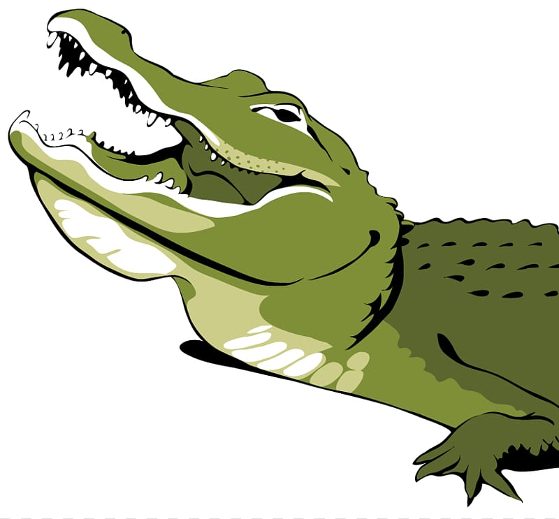 Alligator Crocodiles , Alligator Illustrations transparent background PNG clipart