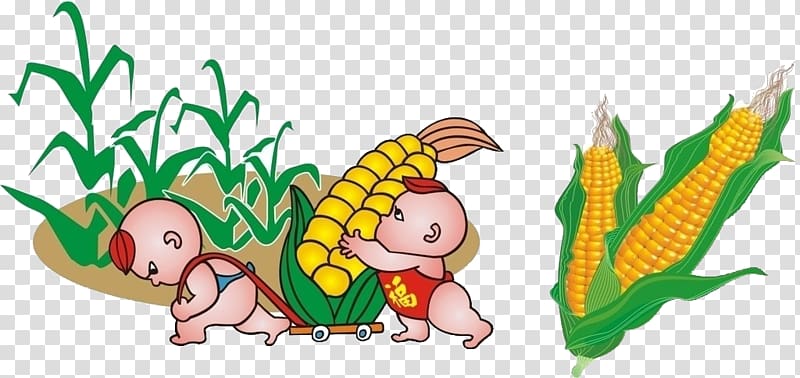 Maize Harvest, corn transparent background PNG clipart