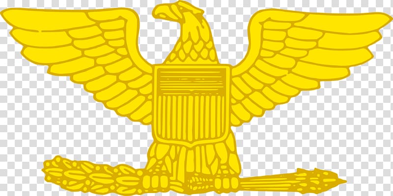 Lieutenant colonel United States Marine Corps rank insignia Military rank Officer cadet, winged eagle insignia transparent background PNG clipart