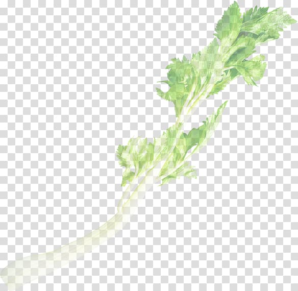 Chard Kagome カゴメ・野菜生活100 Vegetable juice Spring greens, celery transparent background PNG clipart