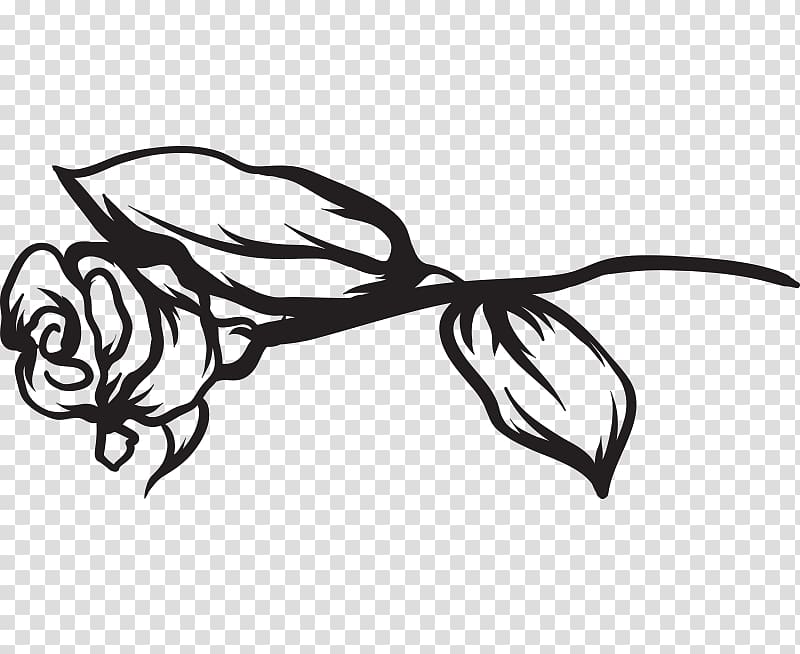 Beach rose Drawing Euclidean , rose a transparent background PNG clipart