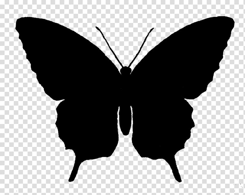 Butterfly Silhouette , silhouettes transparent background PNG clipart