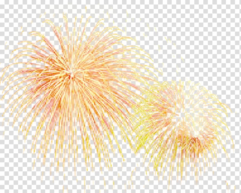 fireworks effect transparent background PNG clipart