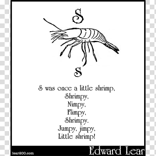 El Rei Lear Calligraphy Document Fauna, White shrimp transparent background PNG clipart
