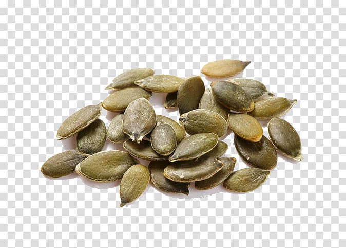 Pumpkin seed oil Berghofer Kxfcrbiskernprodukte KG, South melon seeds transparent background PNG clipart