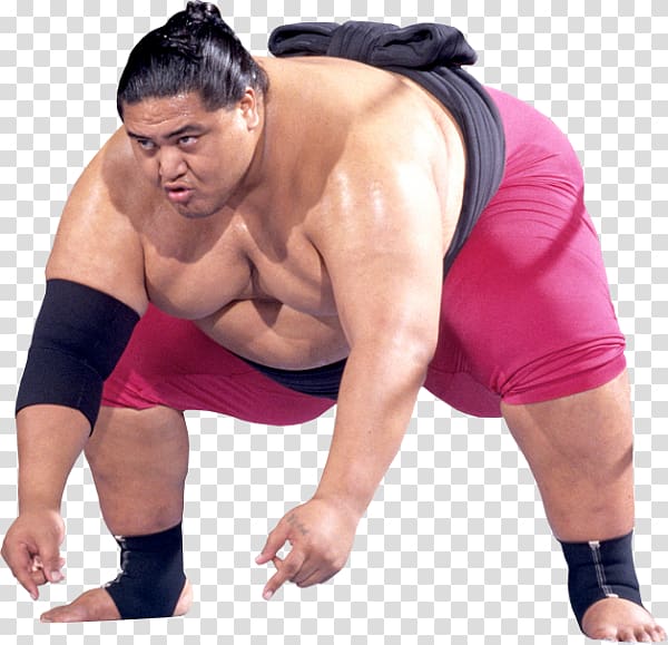 Yokozuna Professional Wrestler Professional wrestling Royal Rumble Sumo, Sumo transparent background PNG clipart