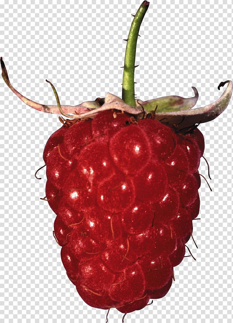 Red raspberry Fruit, Rraspberry transparent background PNG clipart