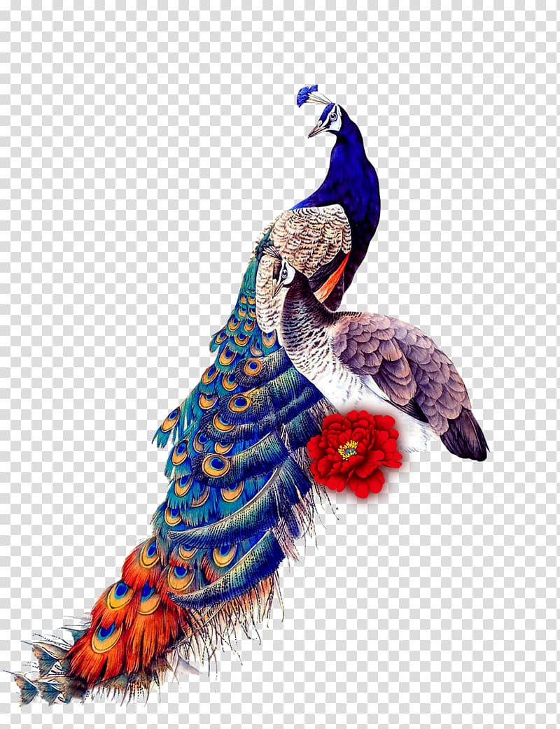 Peafowl Bird iPad mini Samsung Galaxy J7 Glass, Classical Peacock, Peacock and Peahen transparent background PNG clipart