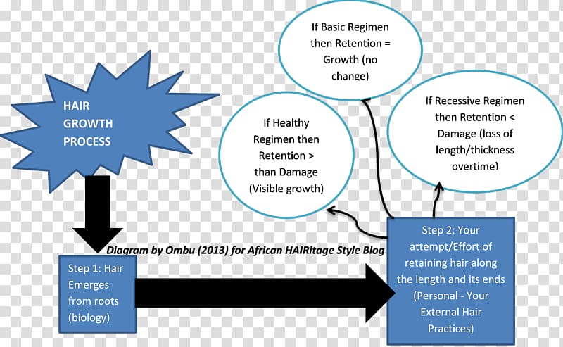Information Reactive oxygen species K.H. ENTERPRISE (MIRI) SDN BHD Diagram Business, growth process transparent background PNG clipart