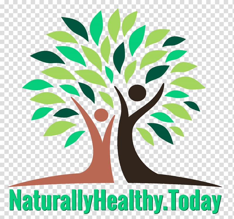Dietary supplement Zija Drumstick tree Health Nutrient, moringa transparent background PNG clipart