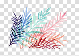grass transparent background PNG clipart thumbnail