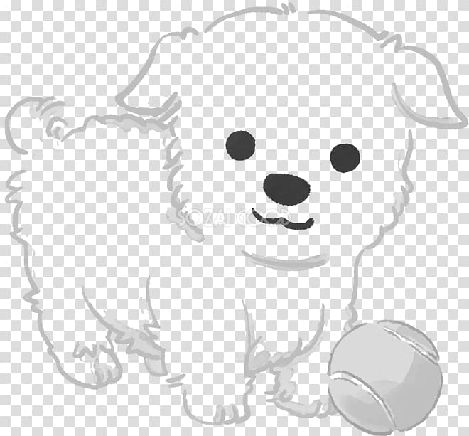 Dog breed Puppy Maltese dog Havanese dog Bichon Frise, puppy transparent background PNG clipart