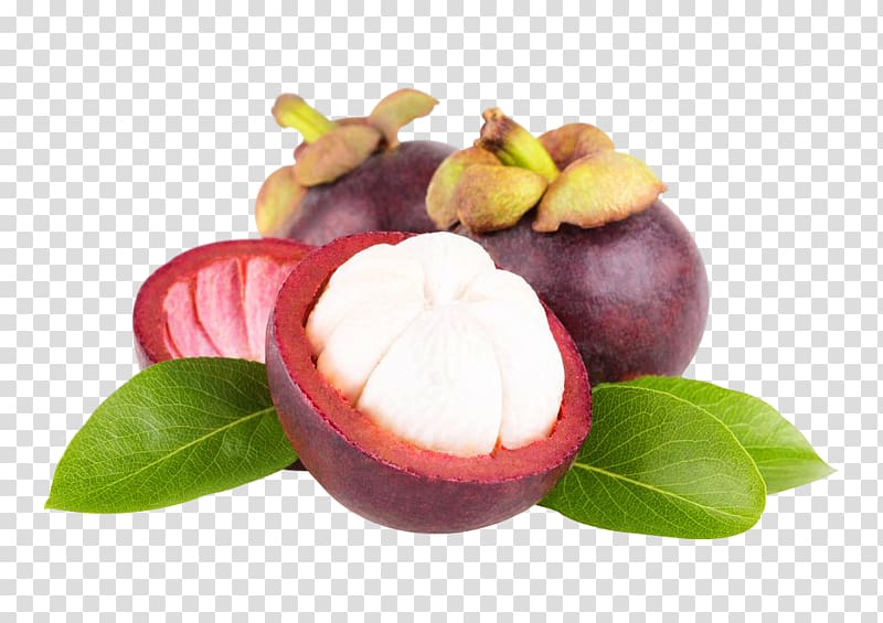 Purple mangosteen Fruit Kulit manggis Great-sun Foods Co., Ltd. Antioxidant, others transparent background PNG clipart
