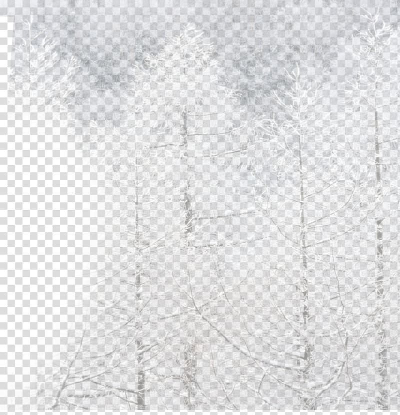 White Black Angle Pattern, Winter white tree transparent background PNG clipart