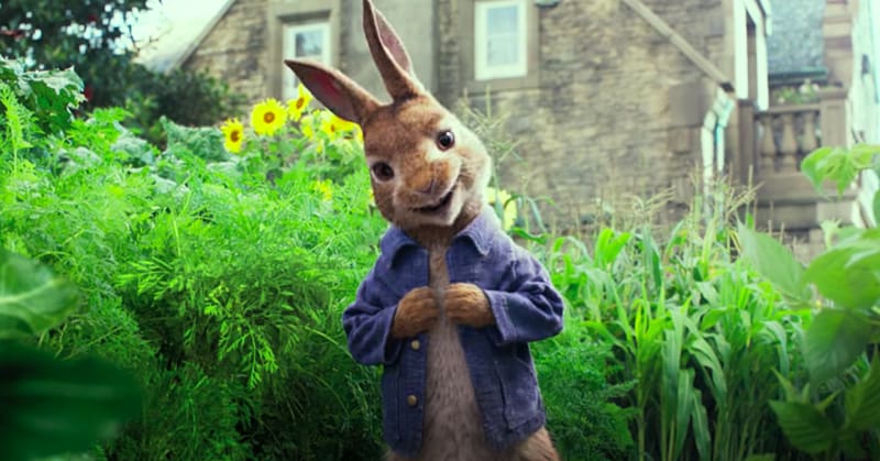 The Tale of Peter Rabbit Mr. McGregor Film Trailer Cinema, peter rabbit transparent background PNG clipart