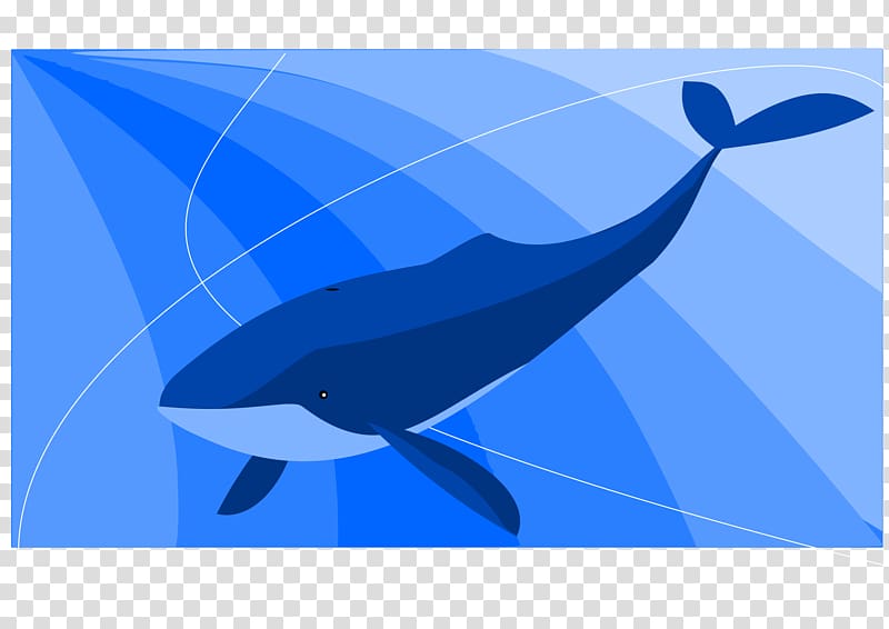 Balaenidae Blue whale Game Suicide, whale transparent background PNG clipart