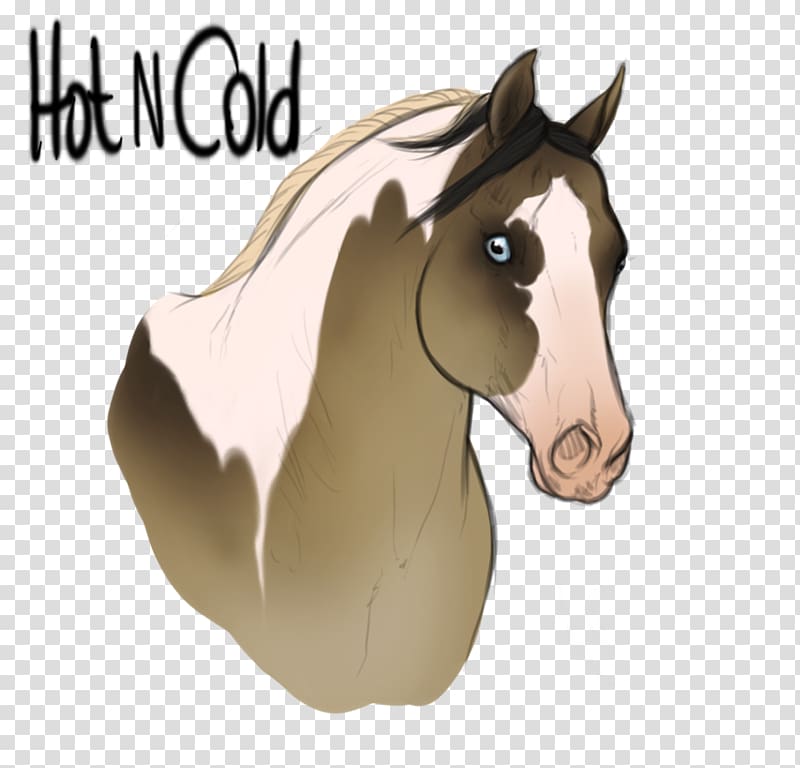 Foal Stallion Bridle Mare Colt, hot cold transparent background PNG clipart
