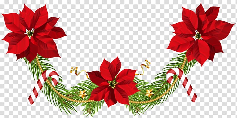 poinsettia and candy cane bunting top border, Poinsettia Christmas , Christmas Poinsettias Garland transparent background PNG clipart