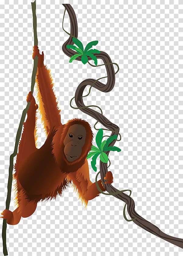 Primate Monkey Durrell Wildlife Conservation Trust Sumatran orangutan Animal, orangutan transparent background PNG clipart