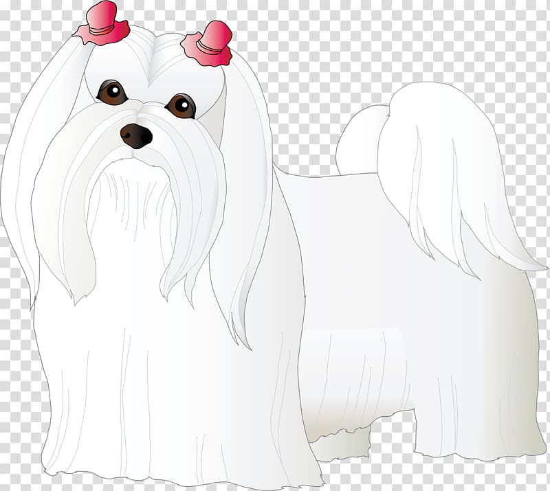 Maltese dog Puppy Bichon Frise Dog breed Companion dog, Dog transparent background PNG clipart