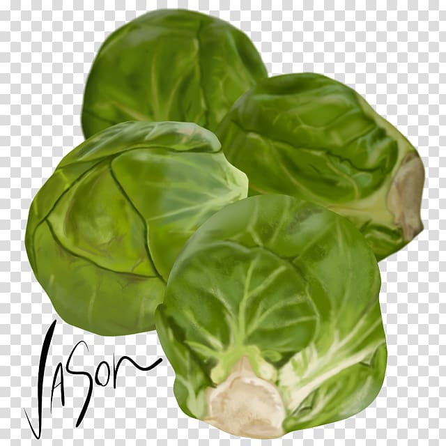 Brussels sprout Collard greens Capitata Group Spring greens Vegetarian cuisine, Brussels Sprouts transparent background PNG clipart
