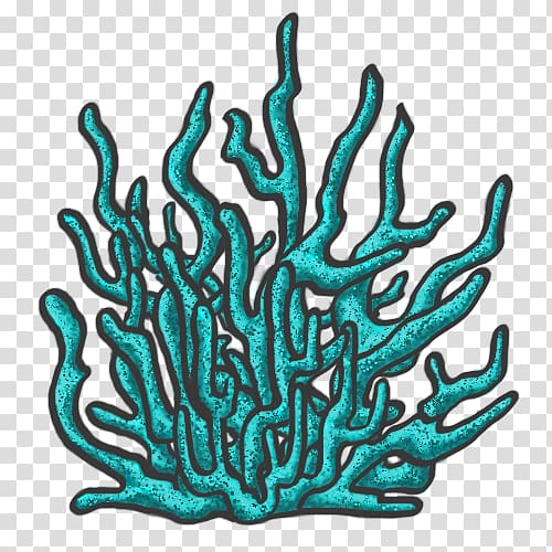 coral reef clipart png bed