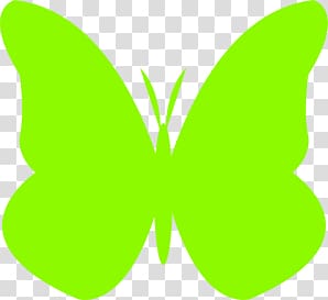 Butterfly Green , half butterfly transparent background PNG clipart