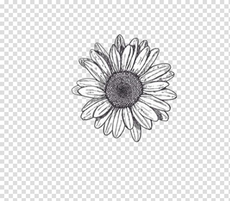 Flower Drawings Sketch, flower transparent background PNG clipart