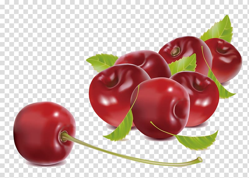Cherry Illustration, fruit cherry EPS material transparent background PNG clipart