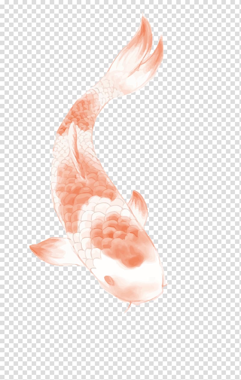 pink and white carp illustration, Butterfly Koi Tattoo, Chinese wind carp transparent background PNG clipart