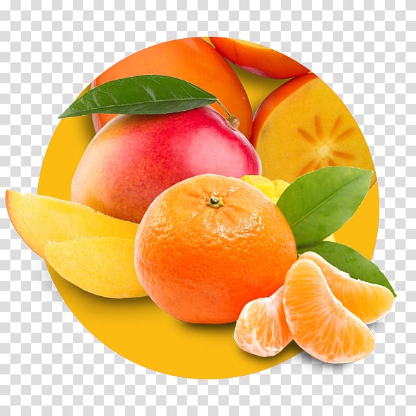 Clementine Mandarin orange Tangerine Peel Blood orange, grapefruit transparent background PNG clipart