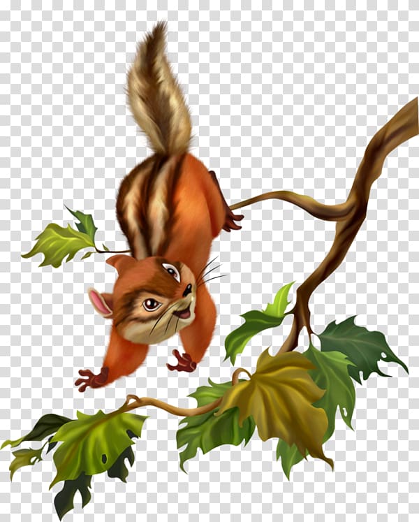 Tinker Bell Disney Fairies Squirrel Fairy , les sangliers transparent background PNG clipart