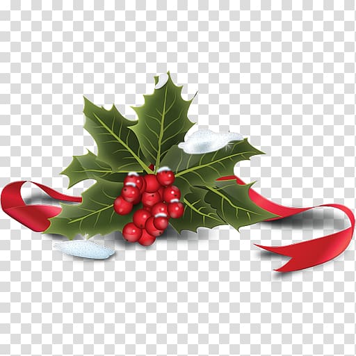 Common holly Santa Claus Computer Icons Christmas, Holly Icon transparent background PNG clipart