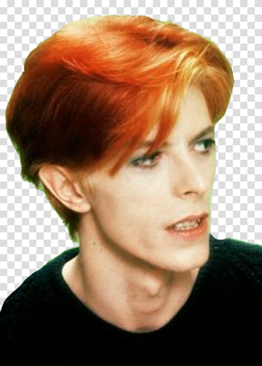 The Man Who Fell to Earth Red hair Labyrinth The Rise and Fall of Ziggy Stardust and the Spiders from Mars, David bowie transparent background PNG clipart