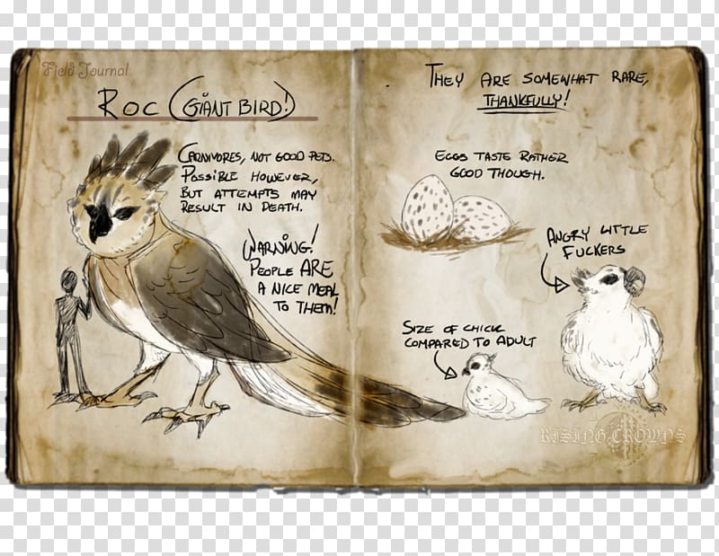 Beak Fauna, flora fauna and merryweather transparent background PNG clipart