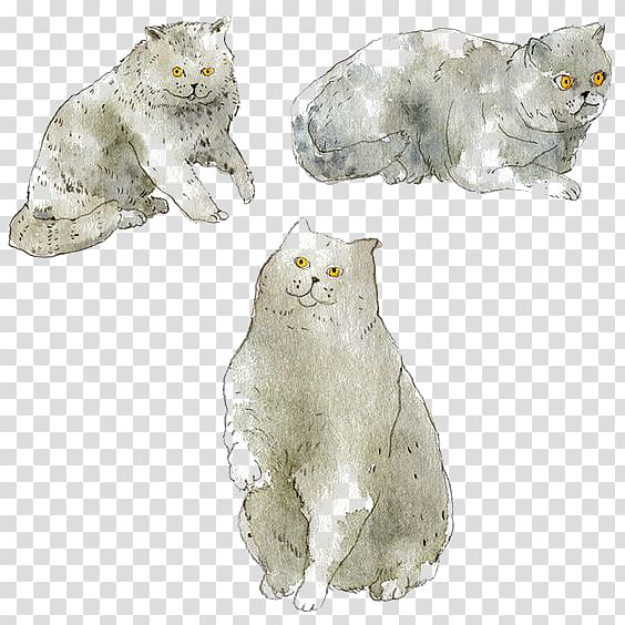 Cat Whiskers Watercolor painting Art Illustration, Watercolor cat transparent background PNG clipart