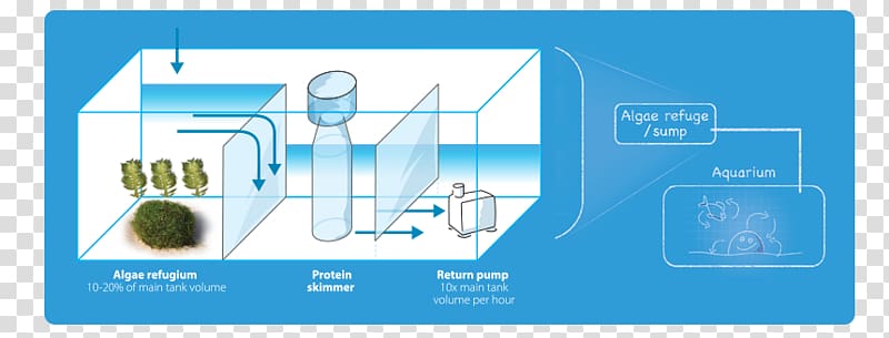 Sump Filtration Reef aquarium Protein skimmer, Reef Aquarium transparent background PNG clipart