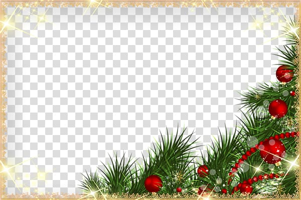 cartoon christmas decorative frame border pine needles transparent background PNG clipart
